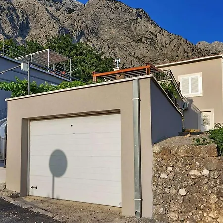 Holiday Zorya *